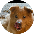 Glen LaForce's Profile Image