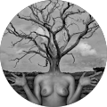 Kimberly C.