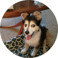 Susan Kramer's Profile Image