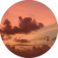 Stephen Dorland's Profile Image