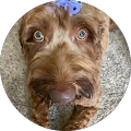 Wayne Baker's Profile Image