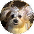 Profile Photo of Sherry Robeson