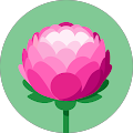 Lisa Kelshaw's Profile Image