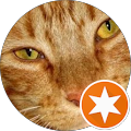 Shannon Morris's Profile Image