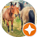 Kimberly Ehmke's Profile Image