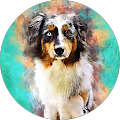 Profile Photo of CTK