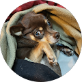 Linda Stephens's Profile Image