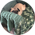 Jamie Booth's Profile Image
