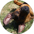Lisa Donoghue's Profile Image
