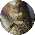 Chuck Walker's Profile Image
