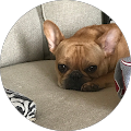carol beth taylor's Profile Image