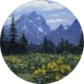 Emily Wunder's Profile Image