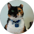 Ika Irsan's Profile Image