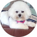 Joan Cromer's Profile Image