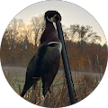 profile-photo