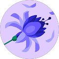 Reviewer profile photo