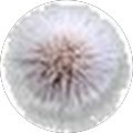 Profile Photo of Caitlin