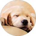 Alicia Zink's Profile Image