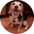 William Brown's Profile Image