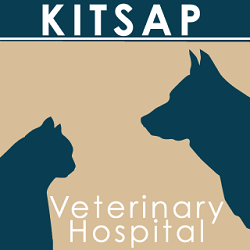 1. Kitsap Veterinary Hospital