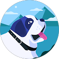 D K's Profile Image