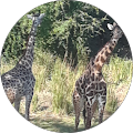Shyne Bright's Profile Image