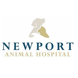 1. Newport Animal Hospital