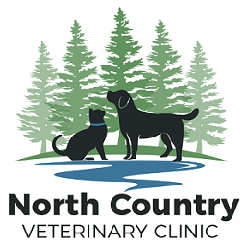2. North Country Veterinary Clinic