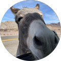Larry Miesner's Profile Image