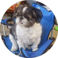 Kelli Wells's Profile Image