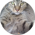 Reviewer profile photo Reviewer profile photo