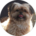 profile-photo