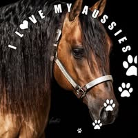 Mary N O'Brien's profile image