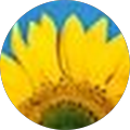 Christine Holton's Profile Image