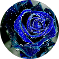 profile-photo