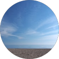 Profile Photo of Jill Higgins