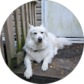 profile-photo