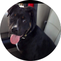 MikeandTonia Henry's Profile Image