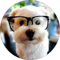 Profile Photo of a b b y !