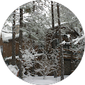 Snowed Inn's Profile Image