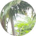 profile-photo