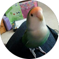 Maureen