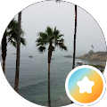 Denise Beal's Profile Image