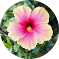 Profile Photo of Michelle Alvarez