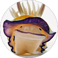 amy shortle's Profile Image