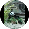 aquadud2222's Profile Image