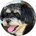 PAUL CATO's Profile Image