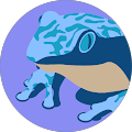 Jennifer Wisniewski's Profile Image