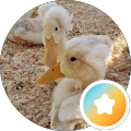 Stasi W's Profile Image