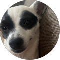 profile-photo